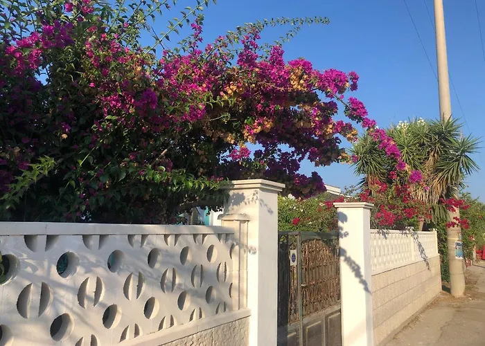 Amaris Mango Seafront
